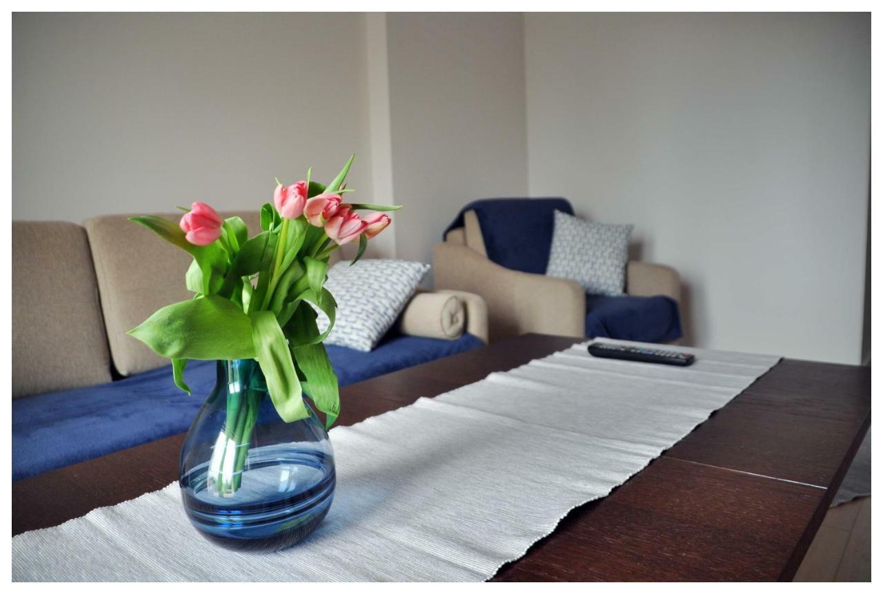 Color 24 Premium Apartment Сталова Вола Екстериор снимка